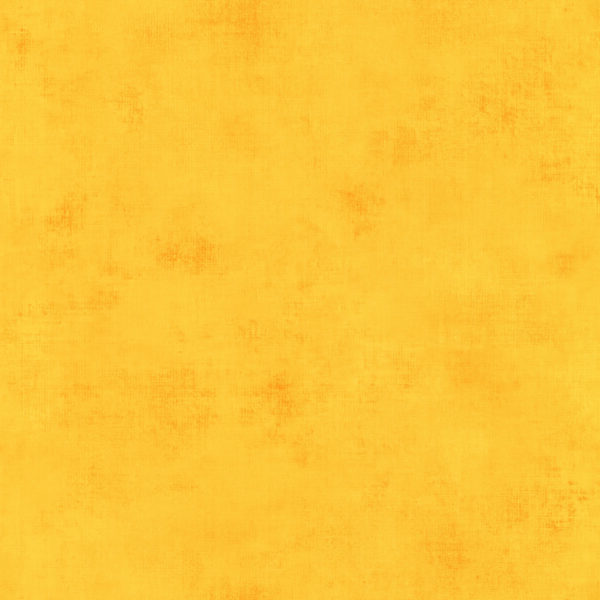 5979 - Left211