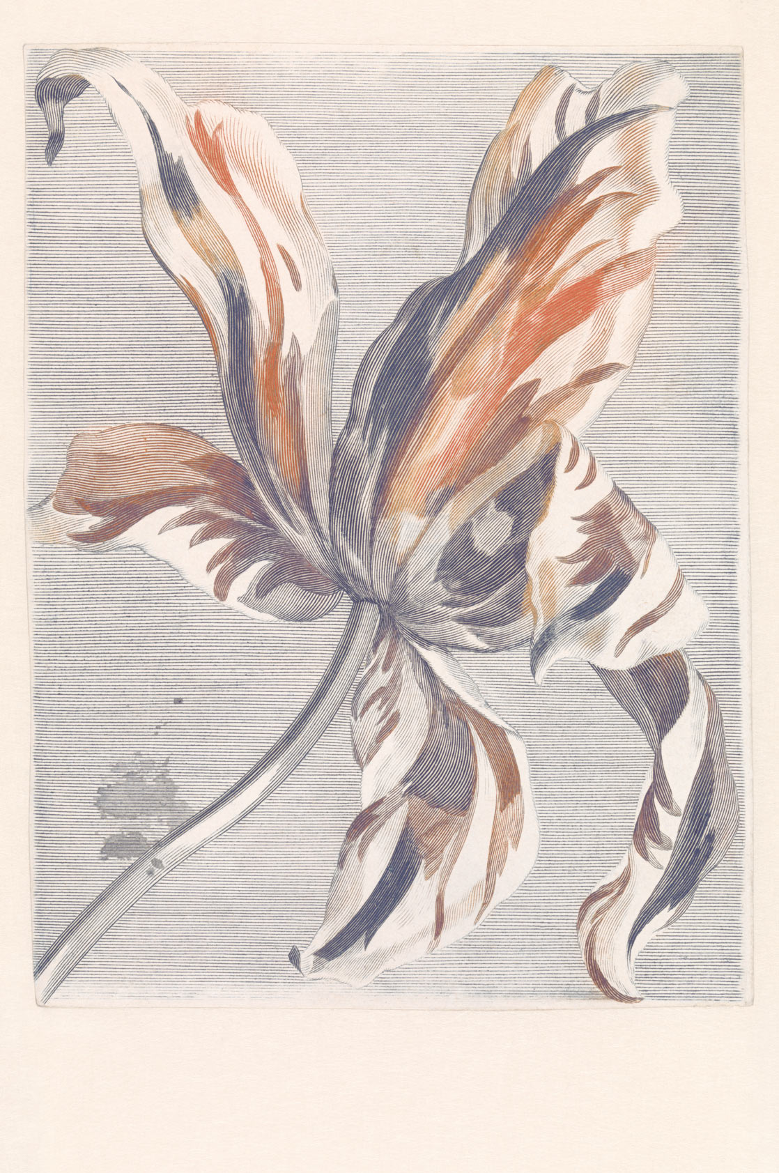 eijffinger-eijffinger-fototapete-masterpiece-358116-tulip-teyler-blau-rot.jpg