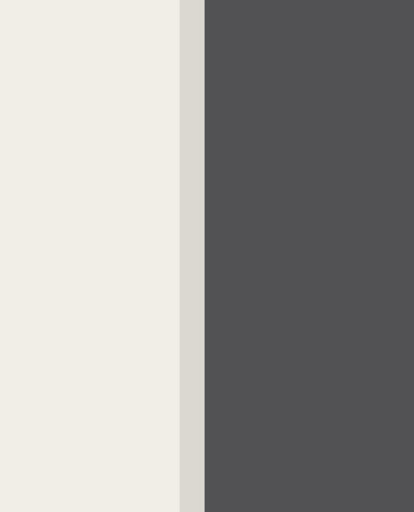 eijffinger-eijffinger-vliestapete-stripes-377166-breite-streifen-schwarz-weiss.jpg