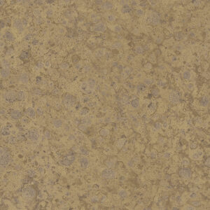 Marburg Vliestapete Platinum 31029 Betonoptik (Gold)