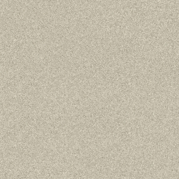 rasch-passepartout-vliestapete-uni-606645-braun.jpg