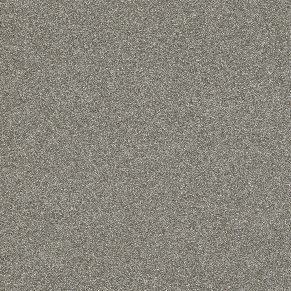 rasch-passepartout-vliestapete-uni-606690-silber.jpg