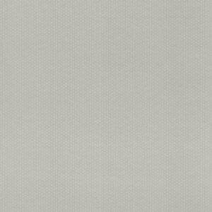 Rasch Textil Tapete 288925 Petite Fleur 4 - Punkte (Grau/Weiß) – Bild 1