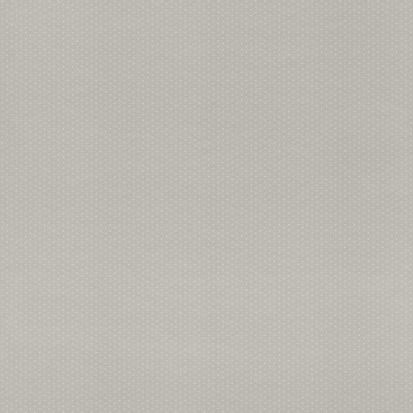 rasch-textil-rasch-textil-tapete-288925-petite-fleur-4-punkte-grau-weiss.jpg