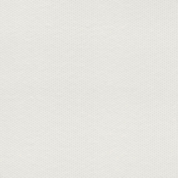 rasch-textil-rasch-textil-tapete-288970-petite-fleur-4-punkte-weiss-grau.jpg