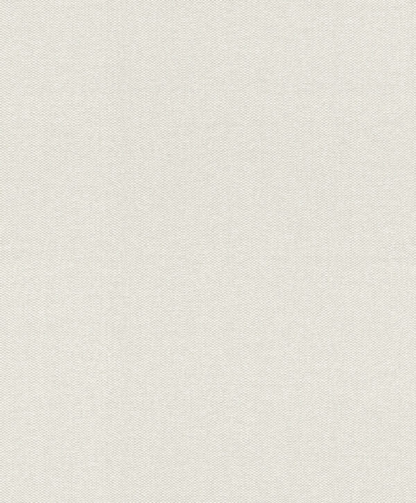 rasch-textil-rasch-textil-tapete-abaca-229256-leinen-weiss.jpg