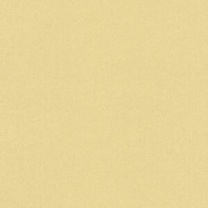 Rasch Textil Tapete Abaca 229409 - Uni (Hellgelb)