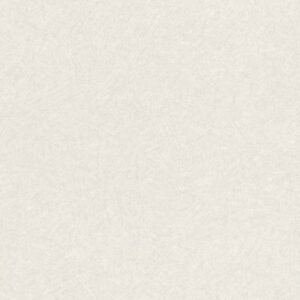 Rasch Textil Tapete Abaca 229454 - Uni (Weiß)