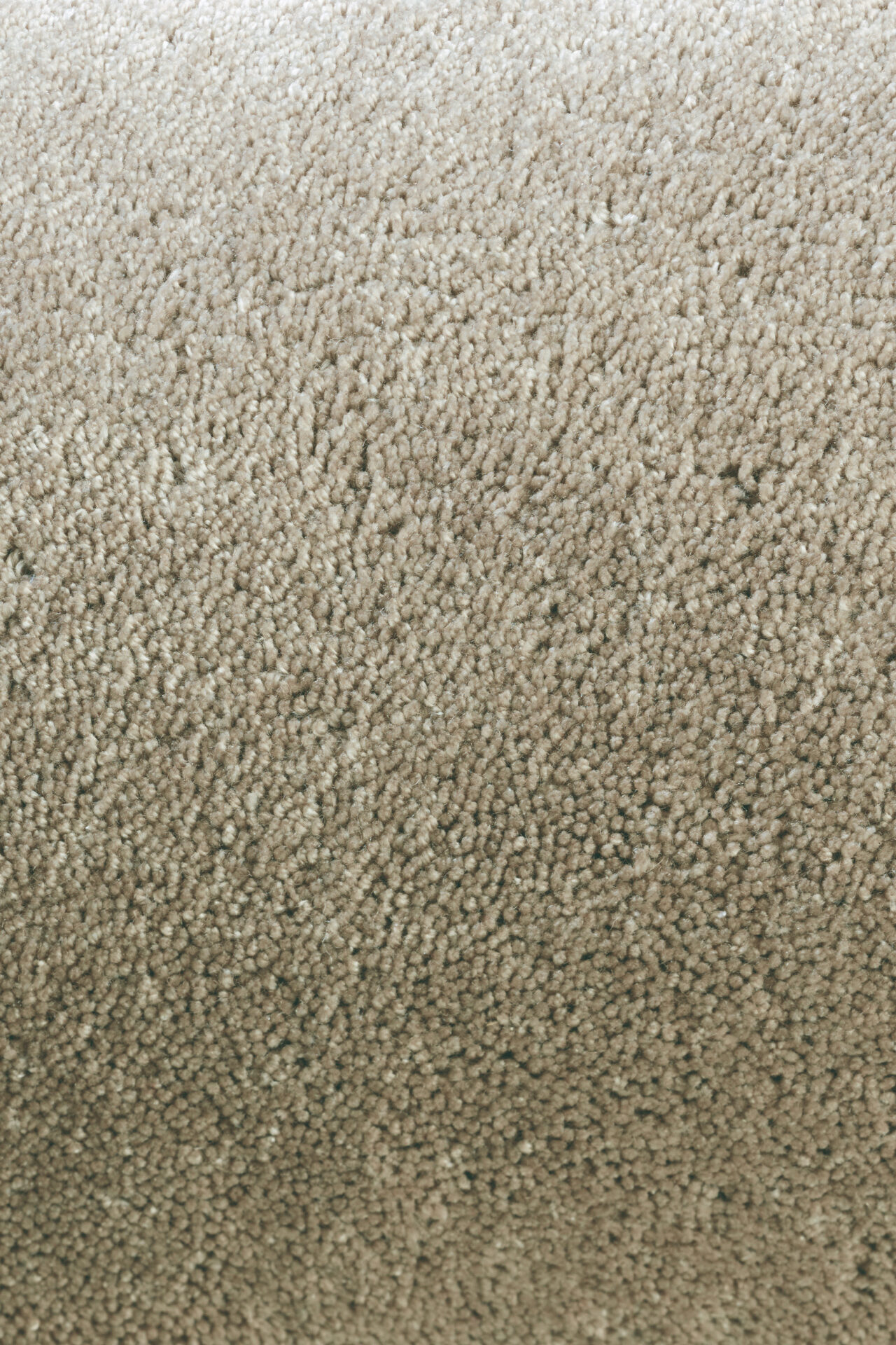 brink-campman-designer-frisee-teppich-twinset-uni-cut-beige.jpg