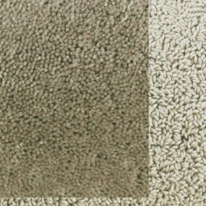 Frisee Teppich mit Schlingenbordüre Twinset Skyline (Beige; 250 x 350 cm) – Bild 1