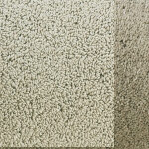 Schlingenteppich mit Frisee Bordüre Twinset Frame (Beige; 200 x 300 cm) – Bild 1