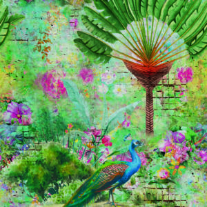 Marburg Fototapete Smart Art Easy Pfau 47259 (Bunt)